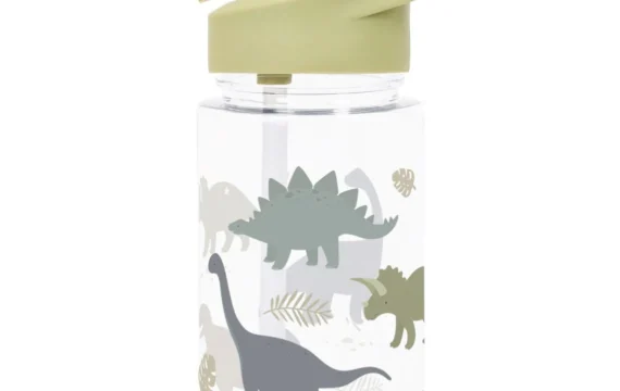 A Little Lovely Compagny Drinkfles Dinosaurussen