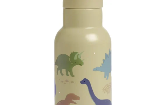 A Little Lovely Compagny RVS Drinkfles Dinosaurussen