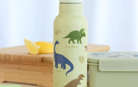 A Little Lovely Compagny RVS Drinkfles 500ml Dinosaurussen - Afbeelding 2