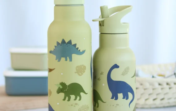 A Little Lovely Compagny RVS Drinkfles 500ml Dinosaurussen - Afbeelding 3