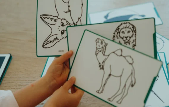 Kidywolf  Extra Kaarten Kidydraw Mini - Oceanen & Piraten / Dieren van de wereld - Afbeelding 2