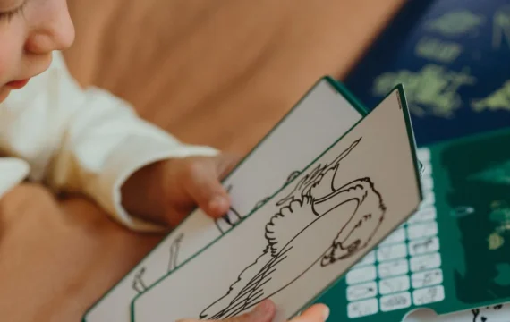 Kidywolf  Extra Kaarten Kidydraw Mini - Oceanen & Piraten / Dieren van de wereld - Afbeelding 3