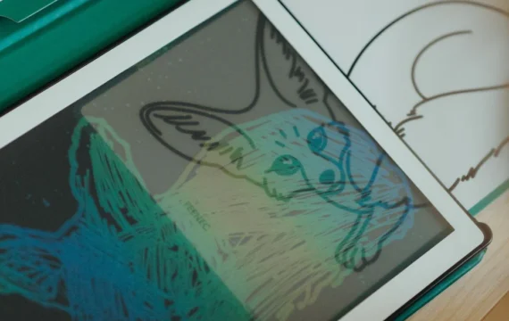 Kidywolf  Extra Kaarten Kidydraw Mini - Oceanen & Piraten / Dieren van de wereld - Afbeelding 5