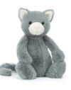 bashful kitten