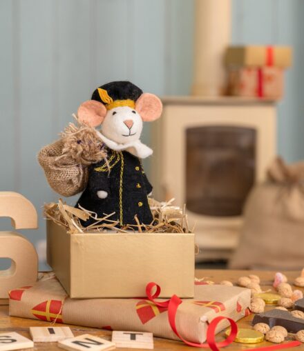 Sjaal met Verhaal Hoofdpiet Muis - Vilt