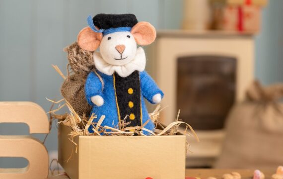 Sjaal met Verhaal Pietermuis Vilt - Blauw